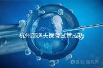 杭州邵逸夫醫院試管成功率高達70%？助孕專家講述其中奧秘