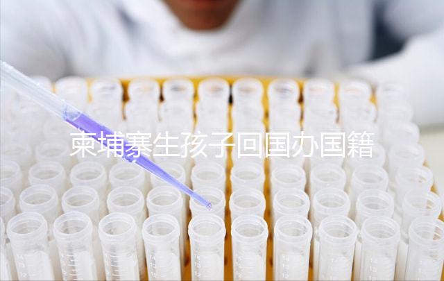 柬埔寨生孩子回國辦國籍方法、流程攻略，線上預約更省時