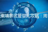 柬埔寨試管嬰兒攻略:周期和時間規(guī)劃全解析!