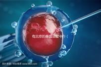 有北京的泰國試管中介(有北京的泰國試管中介公司嗎)