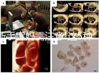 新手寶媽需注意!這5種原因是導(dǎo)致嬰兒腹瀉的罪魁禍?zhǔn)? /></div><area dropzone=