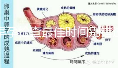 早孕檢查最佳時(shí)間別錯(cuò)過,事關(guān)寶寶健康不可馬虎大意