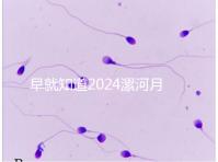 早就知道2024漯河月子中心的價格表了！媽咪悅只需要這個數字