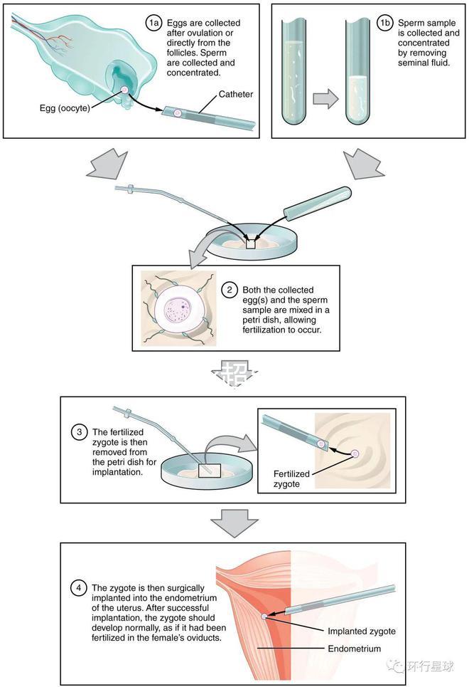 武漢四維彩超費用表整理，內附市婦保院超全預約攻略