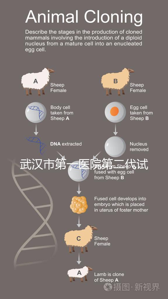 武漢市第一醫(yī)院第二代試管怎么樣？2024年助孕成功率數(shù)據(jù)公布