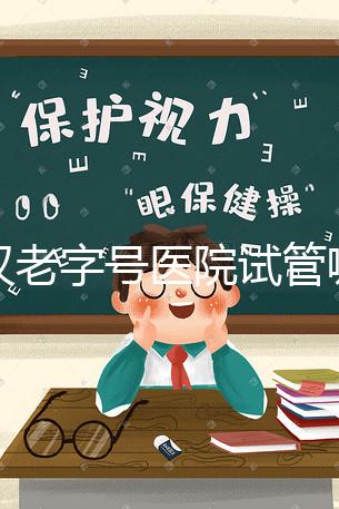 武漢老字號醫(yī)院試管哪個(gè)醫(yī)生好？2025助孕成功率高的大夫參考