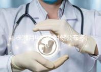 株洲月中心一月份公布多少錢？附2024年蘆松區排行榜