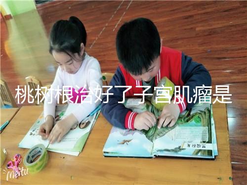 桃樹根治好了子宮肌瘤是謠言？和豬肉一起吃效果真不賴