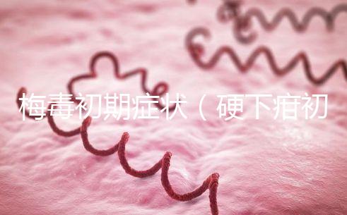 梅毒初期癥狀（硬下疳初期圖片）