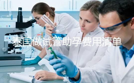 泰國做試管助孕費用清單，涵蓋所有項目分析，幫助你懷孕！