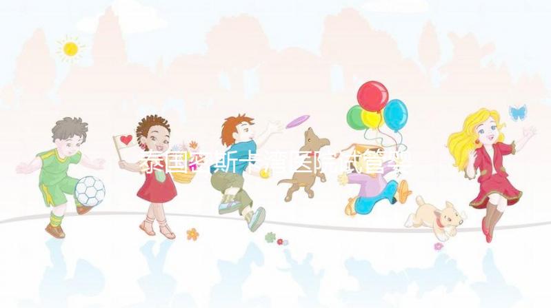 泰國密斯卡灣醫(yī)院試管嬰兒價格指南附項(xiàng)目及費(fèi)用明細(xì)!