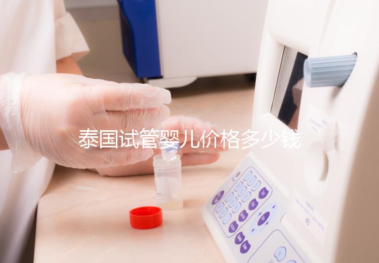 泰國試管嬰兒價格多少錢，2025年費用詳情解讀