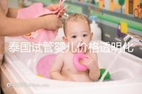 泰國(guó)試管嬰兒價(jià)格透明化:2025年費(fèi)用詳情及預(yù)算指導(dǎo)