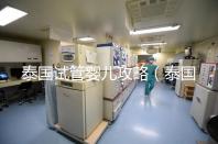 泰國(guó)試管嬰兒攻略(泰國(guó)試管嬰兒攻略全套)