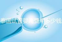 泰國試管嬰兒費用多少錢(泰國試管嬰兒費用多少錢呢)