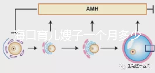 ?？谟齼荷┳右粋€月多少錢，哪個好答案總結，新手父母必須看