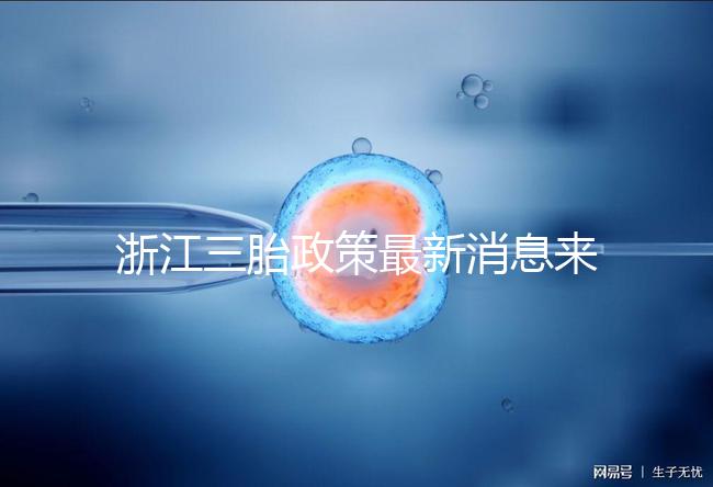 浙江三胎政策最新消息來襲，2024臺州有哪些補貼？