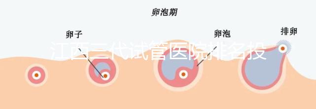 江西三代試管醫院排名投票截止！附前三位成功率和費用詳解