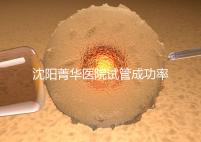 沈陽菁華醫院試管成功率高嗎?教你4招提升胚胎著床機會