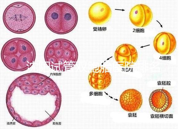 沈陽試管雙胞胎醫(yī)院排名速覽，60s告訴你皇姑區(qū)有哪些