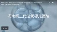 河南第三代試管嬰兒醫(yī)院整理，成功率、費(fèi)用全在這
