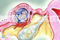 河池試管嬰兒醫(yī)院成功率排名出爐，這幾家助孕技術(shù)真不差