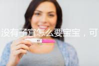 沒有子宮怎么要寶寶，可以做試管嬰兒嗎？