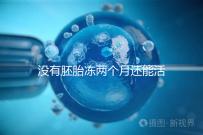 沒有胚胎凍兩個月還能活著嗎？60s會告訴你怎么樣？