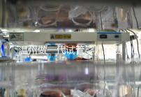 溫州做一代試管嬰兒的費用明細來了！2025年最新報價3