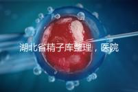 湖北省精子庫整理，醫(yī)院地址、排名、供精費(fèi)用這都有