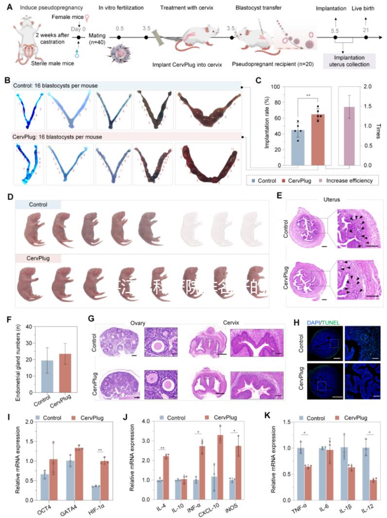 湛江男科醫院排名好的醫院分享，2024廣醫大附院上榜