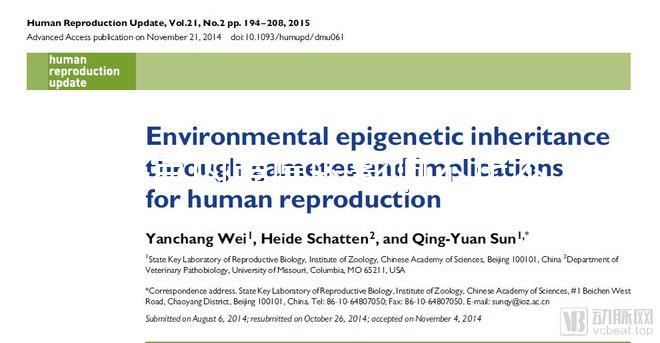 子宮內膜厚的影響不止不孕,其中危害你了解多少?