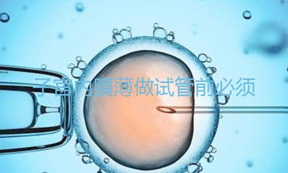 子宮內膜薄做試管前必須先調理好,調理方法在這里自取!