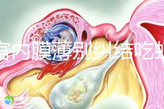 子宮內膜薄別糾結吃蝦可不可以補上來了，效果好壞一看便知