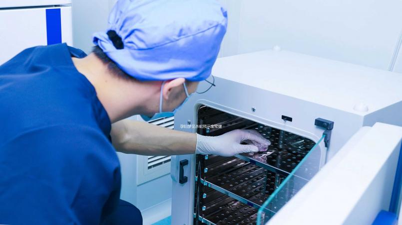 孕婦夢見殺蛇預示寶寶健康?相關胎夢解讀