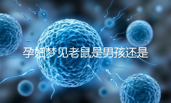 孕婦夢見老鼠是男孩還是女孩不再糾結,詳細預兆解讀看這