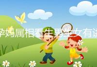 孕媽屬相看生男生女有講究，方法沒找對測試結果有誤差