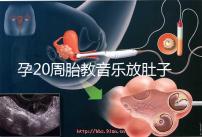 孕20周胎教音樂放肚子上怎么辦要早知，細數常見危害