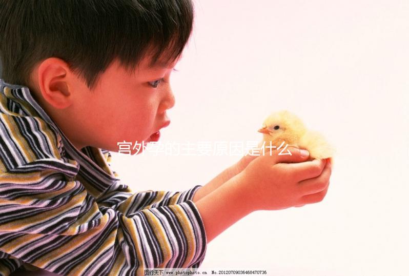 宮外孕的主要原因是什么?