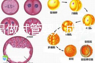 宜昌做試管嬰兒成功率和費用多少？先看哪些醫院能做吧！
