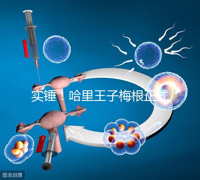 實錘！哈里王子梅根正式公布寶寶名字：阿爾奇·哈里森