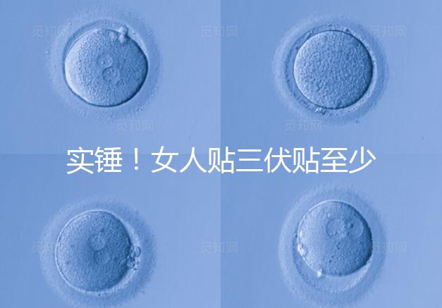 實(shí)錘!女人貼三伏貼至少有這6點(diǎn)好處,提高免疫力是其一