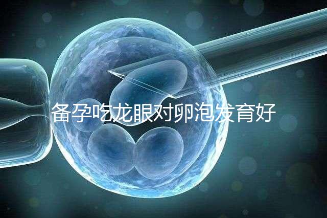 備孕吃龍眼對卵泡發(fā)育好處多，前提：發(fā)芽禁止食用