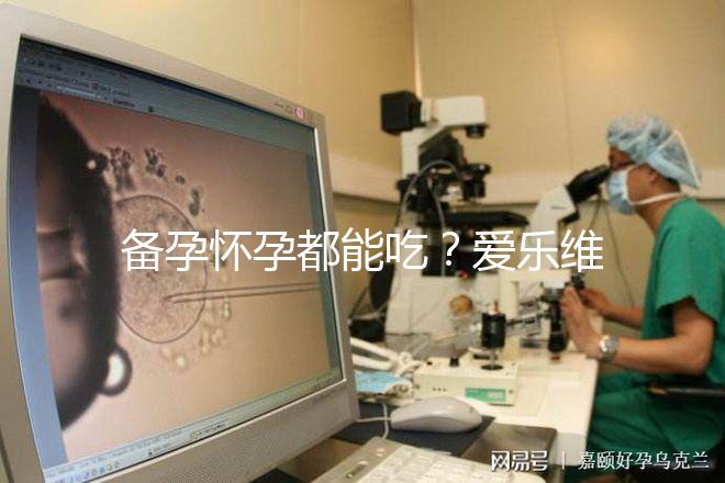 備孕懷孕都能吃？愛樂維的作用和功效大盤點