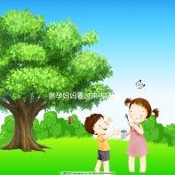 備孕媽媽看過來!堿孕寶和益生堿對比介紹