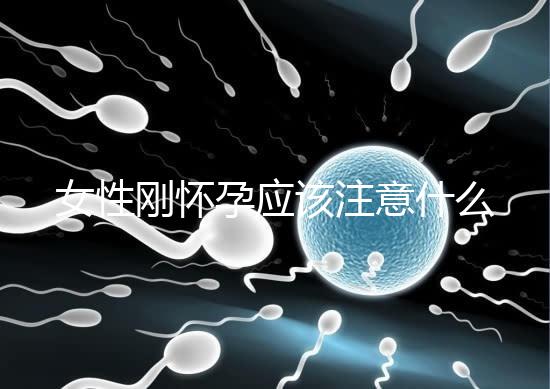 女性剛懷孕應該注意什么?