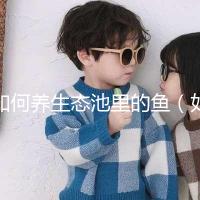 如何養生態池里的魚(如何養生態池里的魚視頻)