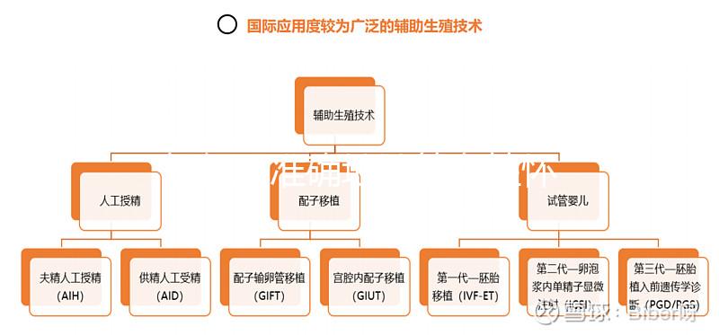 如何更準(zhǔn)確地計(jì)算女性懷孕時(shí)間?