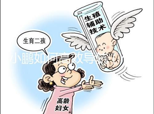 小鵬如何高效導(dǎo)航(小鵬如何高效導(dǎo)航定位)