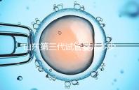 山東第三代試管嬰兒多少錢？2025最新收費明細曝光